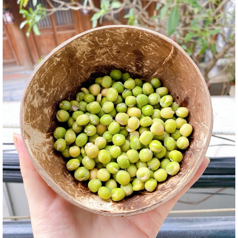 [500g] ĐẬU HÀ LAN