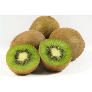 CÂY GIỐNG KIWI leo giàn hàng nhập khẩu
