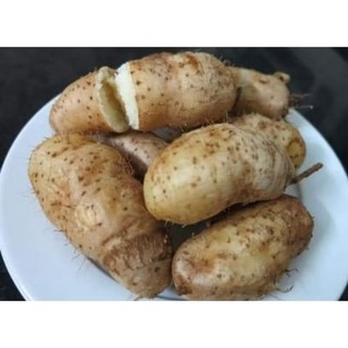 1kg khoai từ, củ từ lông tươi ngon bở, thơm