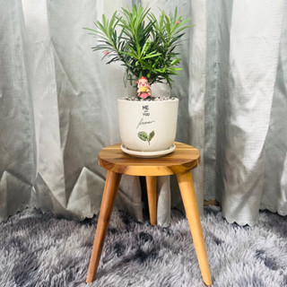 Kệ gỗ để chậu hoa ,chân gỗ để chậu cây ,đôn gỗ đựng chậu cây trong nhà, đôn gỗ để chậu cây