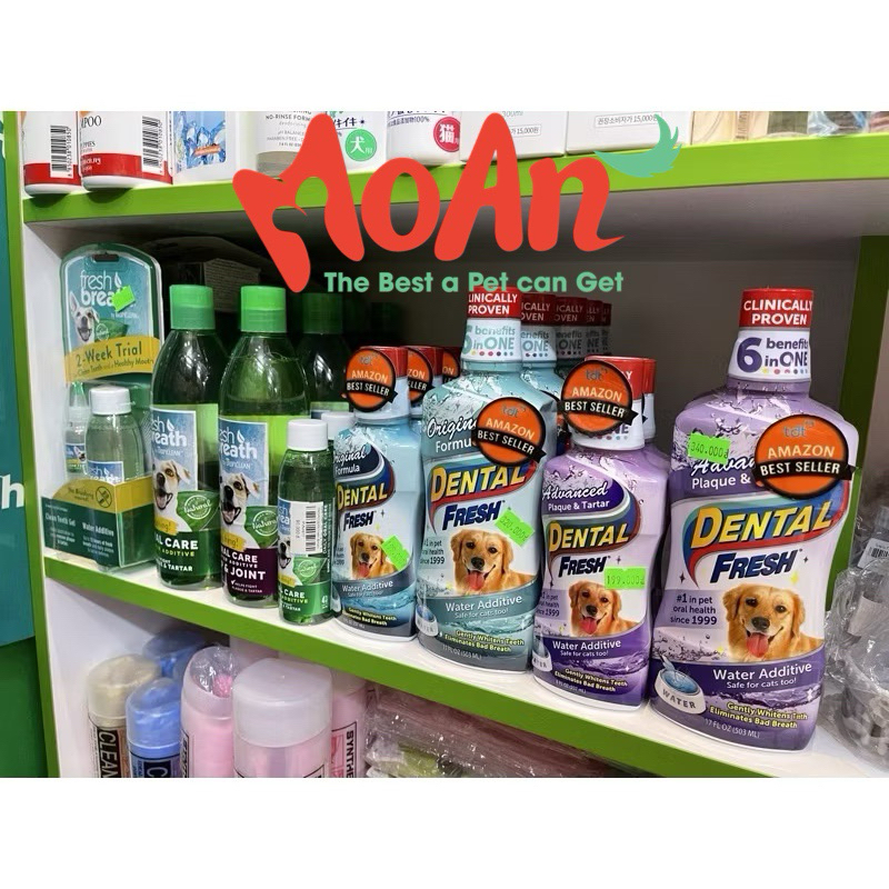 DENTAL FRESH THƠM MIỆNG USA