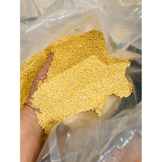 1kg Hạt kê nếp vàng Nghệ An (đã tách vỏ) thơm ngon