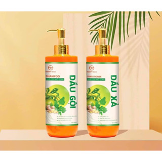 combo gội xả bưởi gừng hammy skin
