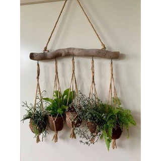 Dây treo chậu mini dài 30-40cm