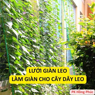  Lưới giàn leo lưới làm giàn cho cây dây leo làm giàn mướp bầu bí chất liệu sợi cước sợi dù tặng kèm dây buộc lưới 