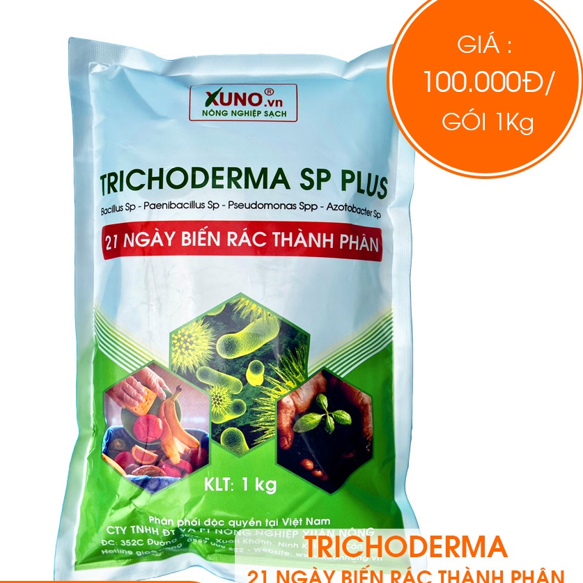 NẤM TRICHODERMA