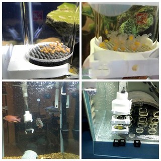 Lồng ấp trứng cá Fish Egg Incubator