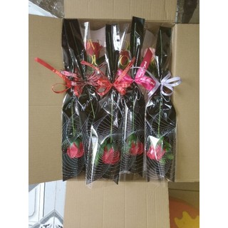 bó hoa 1 bông( giao sau 1 ngày nhận đơn)
