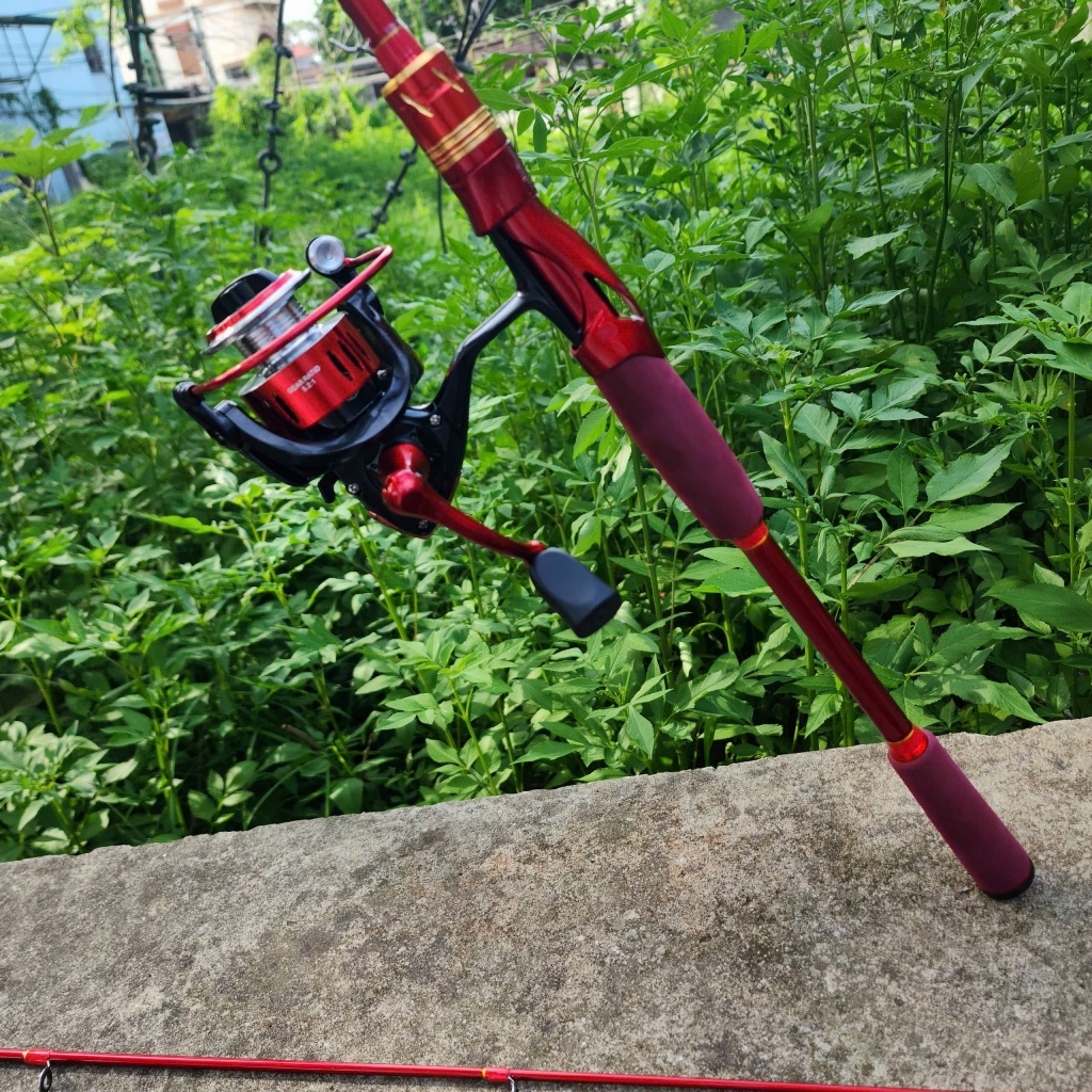 [Bộ cần đứng hoặc ngang] Bộ Cần Daiwa Nội Địa Huyết Long Siêu Rẻ