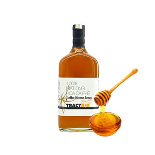 Mật ong TRACYBEE hoa cafe/chôm chôm 600 ml