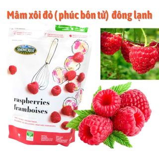 MÂM XÔI ĐỎ ĐÔNG LẠNH 1KG – FROZEN RASPBERRY CAO CẤP