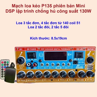 Mạch loa kéo phiên bản mini lập trình chống hú công suất 130W