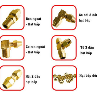 Hạt Bắp Đồng- Bắp ống đồng