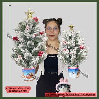 Cây thông noel để bàn PHỦ TUYẾT A4 mini  40cm, 60cm trang trí giáng sinh, nhà cửa, bàn làm việc