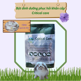 Critical care - thực phẩm bổ sung dinh dưỡng, phục hồi dành cho thỏ/bọ ú/rùa/iguana