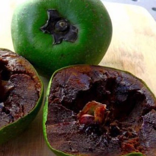 CÂY GIỐNG HỒNG ĐEN SÔCÔLA HẠT