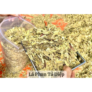 LÁ PHAN TẢ DIỆP khô loại 1 (mới, sạch, đẹp) [500g]