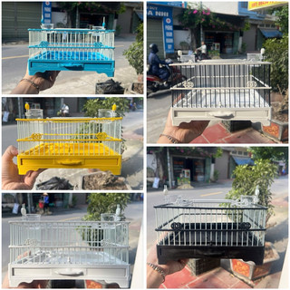   lồng nhựa  Lồng trần chim khuyên lồng trần hút mật chất liệu nhựa cao cấp thiết kế độc đáo nhiều màu sắc kèm phụ kiện 