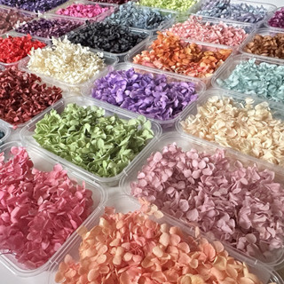 Hoa khô /tú cầu màu dùng trong makeup, resin , nến , handmade