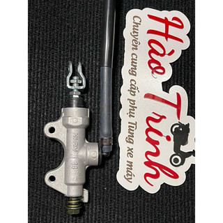 Pen đạp sau exciter : chuẩn L1 - nisin - 119k