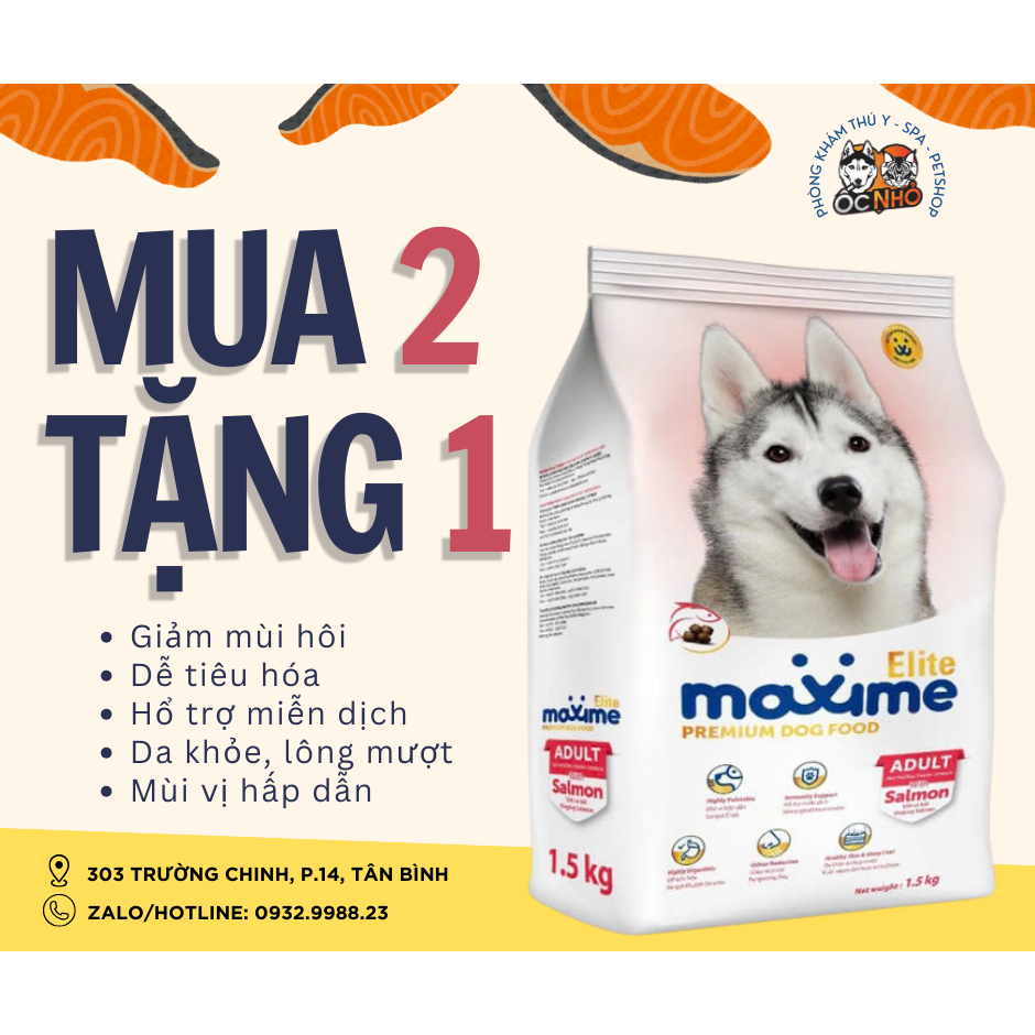 [MUA 2 TẶNG 1] Thức Ăn Hạt Cho Chó Lớn Vị Cá Hồi Maxime Elite