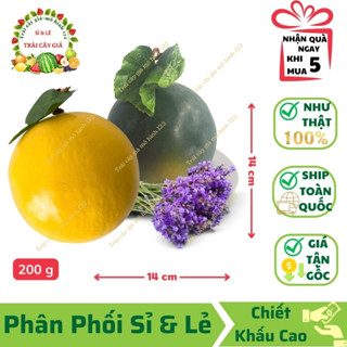 Trái Dưa Hấu Tròn Lớn Giả (14x14 cm) mô hình GIỐNG THẬT 99%-Trang trí nhà, cửa hàng, decor