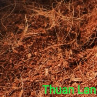 Gói 2kg Mùn Xơ Dừa Trồng Cây