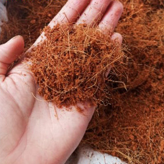 Gói 2kg Mùn Xơ Dừa Trồng Cây