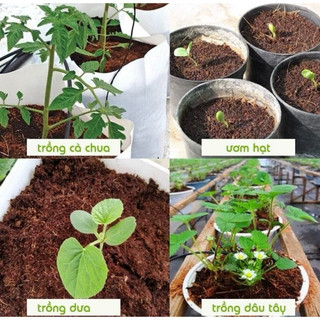 Gói 2kg Mùn Xơ Dừa Trồng Cây