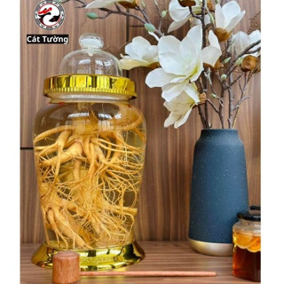 Bình Ngâm Rượu Thủy Tinh 8 Lít 10 Lít 12 Lít Phú Hòa Có Vòi & Không Vòi. Bình Ngâm Rượu 8L Đựng Sâm Có Van/Không Van