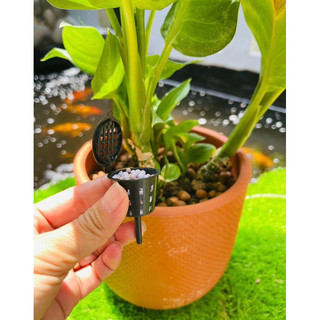 Set 50c Rọ Đựng Phân Tan Chậm