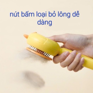 Lược chải lông cho Thỏ , Bọ, Chinchilla, Chó, Mèo...
