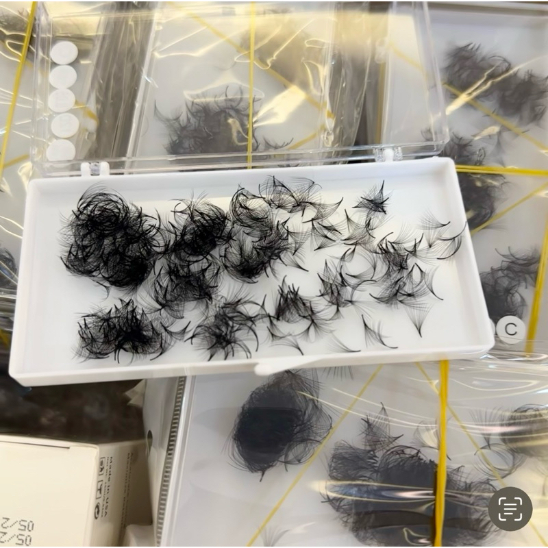 Mi fan tay 12D Cong C ,D