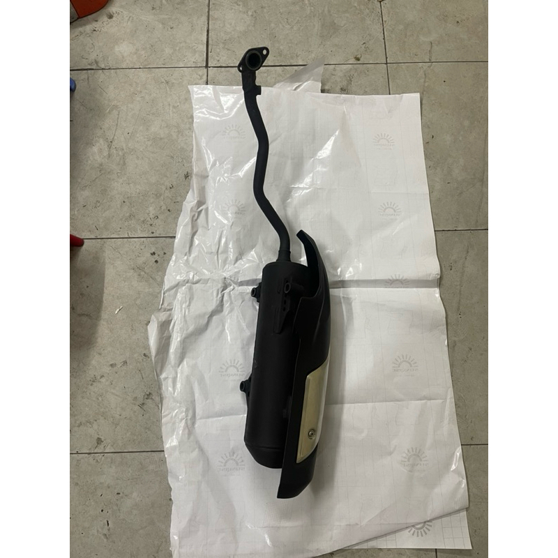 cây pô zin sh 2020-2024