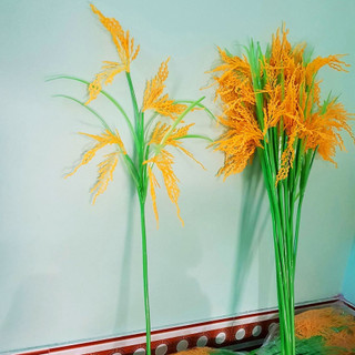 Cây lúa biểu diễn văn nghệ, đạo cụ cây lúa (150k / 1 bó 10 cây)