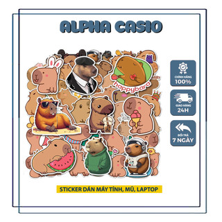  Sticker Capybara Decal trang trí tất cả máy tính casio 580vnx 880 BTG 570 vinacal laptop mũ bảo hiểm đàn 