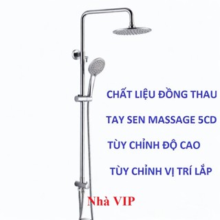 Cần sen cây rời cao cấp, cây sen, sen đứng, sen tắm