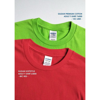 Áo thun Gilan 100% cotton