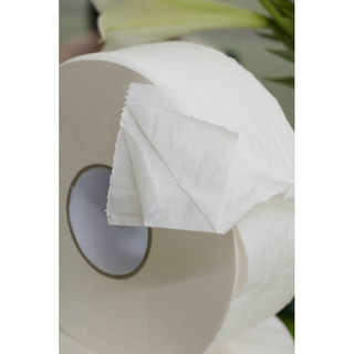 Giấy Vệ Sinh Cuộn Lớn 500g Silkwell – 2 Lớp, Mềm Dai, Thấm Hút Tốt, Dễ Tan Trong Nước