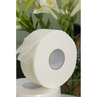 Giấy Vệ Sinh Cuộn Lớn 500g Silkwell – 2 Lớp, Mềm Dai, Thấm Hút Tốt, Dễ Tan Trong Nước