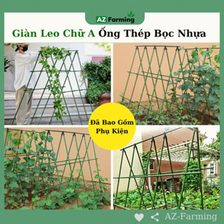 Giàn Leo Chữ A Cho Cây Trồng (Ống Thép Bọc Nhựa) - Nhiều Kích Thước - AZ Farming
