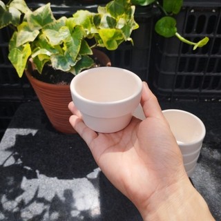[Mẫu Mới] Chậu Đất Nung Trồng Sen Đá 7x 4cm