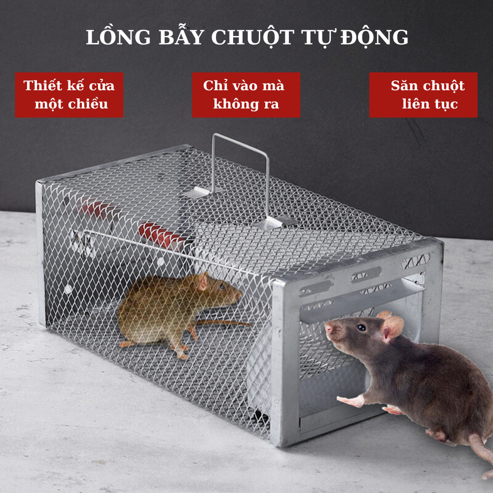 Bẫy chuột, Lồng bắt chuột, Máy bắt chuột tự động chất liệu thép không rỉ sử dụng được lâu dài tiện lợi