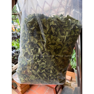 Trà giảm cân lá ổi non