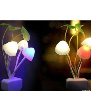 ✔ Đèn Ngủ Cảm Ứng Ánh Sáng Hình Nấm