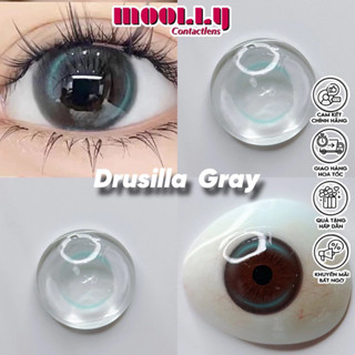  Drusilla Gray Lens   Có tặng khay đựng lens   