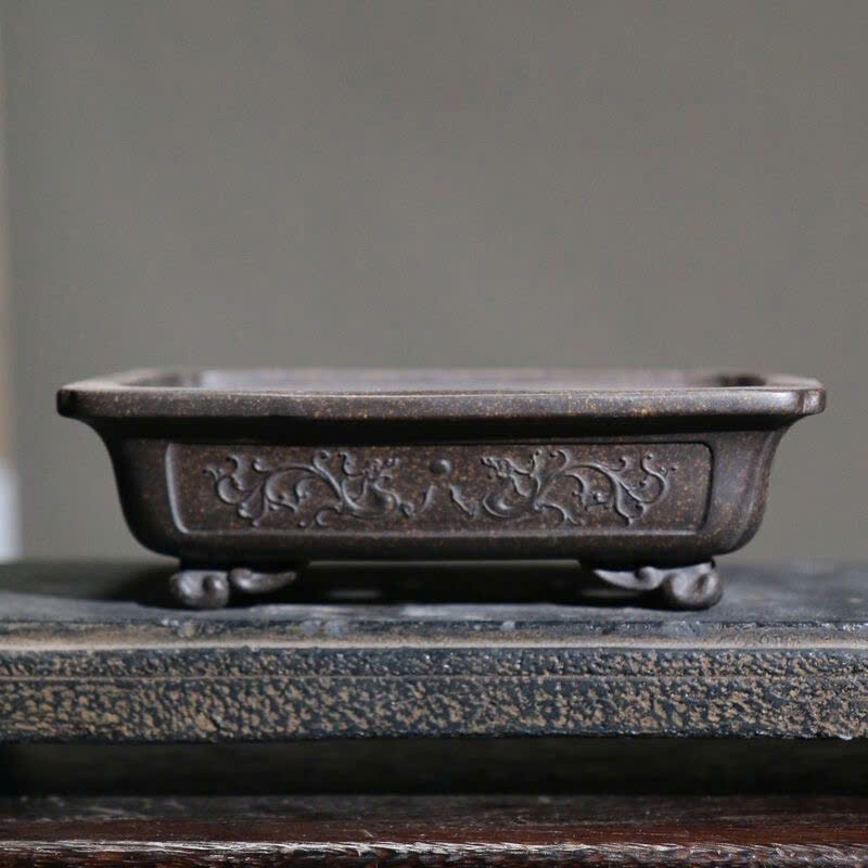 Chậu Cây Mini Bonsai Cao Cấp, Chậu Tàu