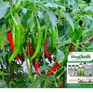 PHÂN BÓN VINAXANH 2 TƯỚI GỐC