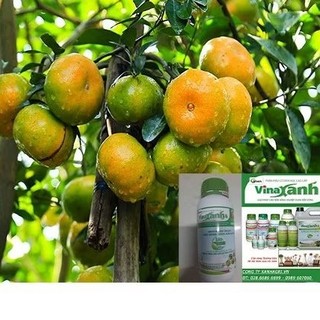 PHÂN BÓN VINAXANH 2 TƯỚI GỐC