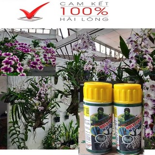 KÍCH RỄ HULK ROOT CHO HOA VÀ CÂY CẢNH